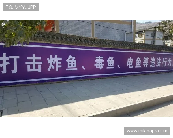 博鱼中国官网安全保障措施全面升级，确保玩家账号信息与资金安全无忧